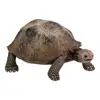 3.4inch Giant Tortoise Nimal Model Galapagos Tortoise Turtle Model Figure Animal Toy Educational Collection For Kids Xmas Gift ► Photo 3/6