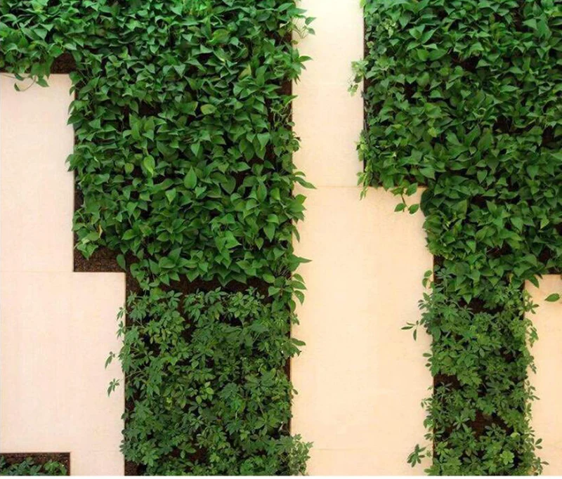 QQ截图20191227203323