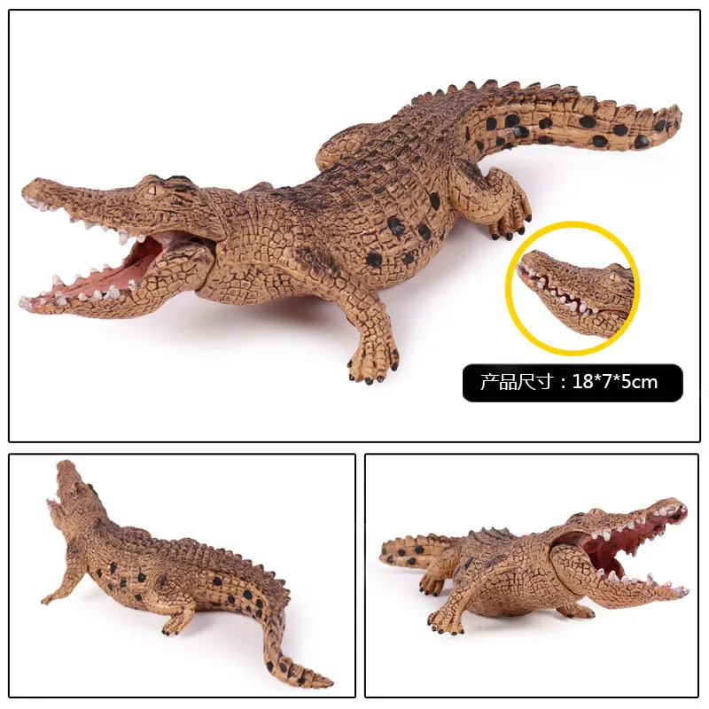 Дети Твердые модели амфибия животное модель крокодила BoarCroc Нил крокодил дикие игрушки животные