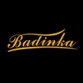 Badinka Store