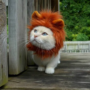 

Jungle King of the Pet Puppy Pet Cat Wig Funny Lion Head Band Pet Funny Pet Costume