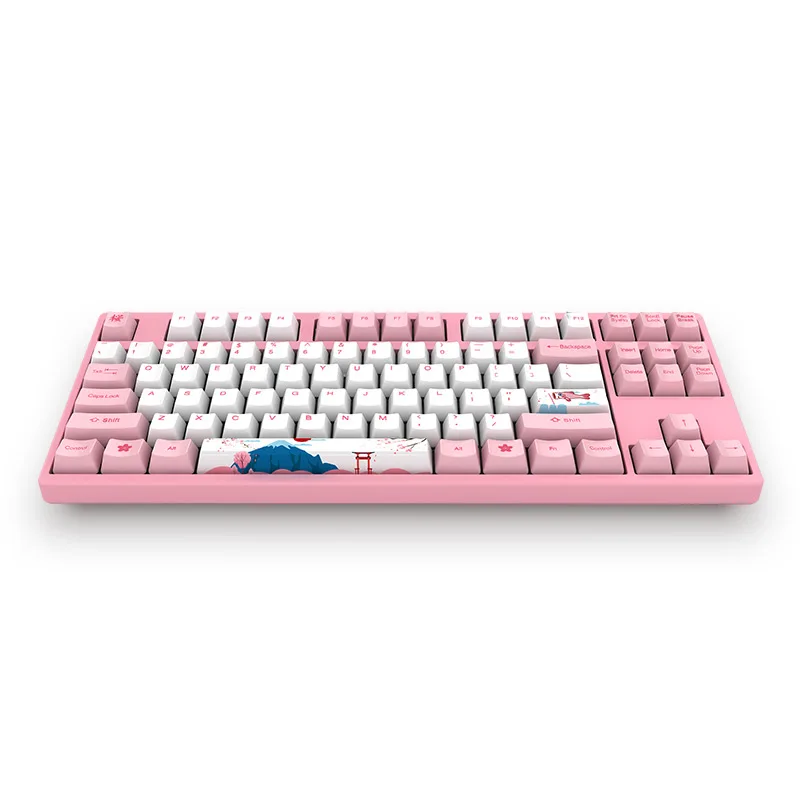Akko 3087 World Tour-Tokyo 87 Keys Keyboard USB Wired PBT Keycaps Mechanical Gaming Keyboard for PC Laptop