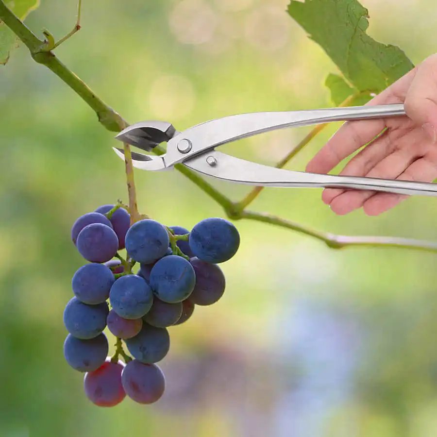 28 см Нержавеющая сталь филиал ручка резак вогнутой кромки резца инструменты для