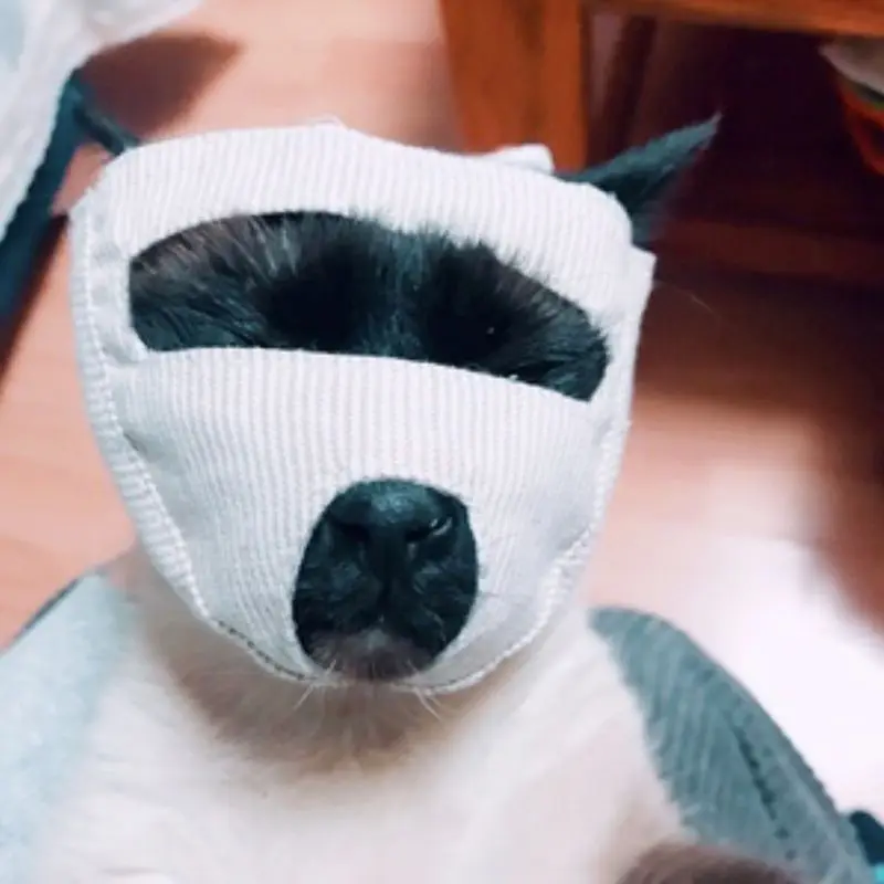 Pet Adjustable Cat Muzzle Anti-Bark Bite Grooming Cat Kitten Mouth Mask Cover L41A