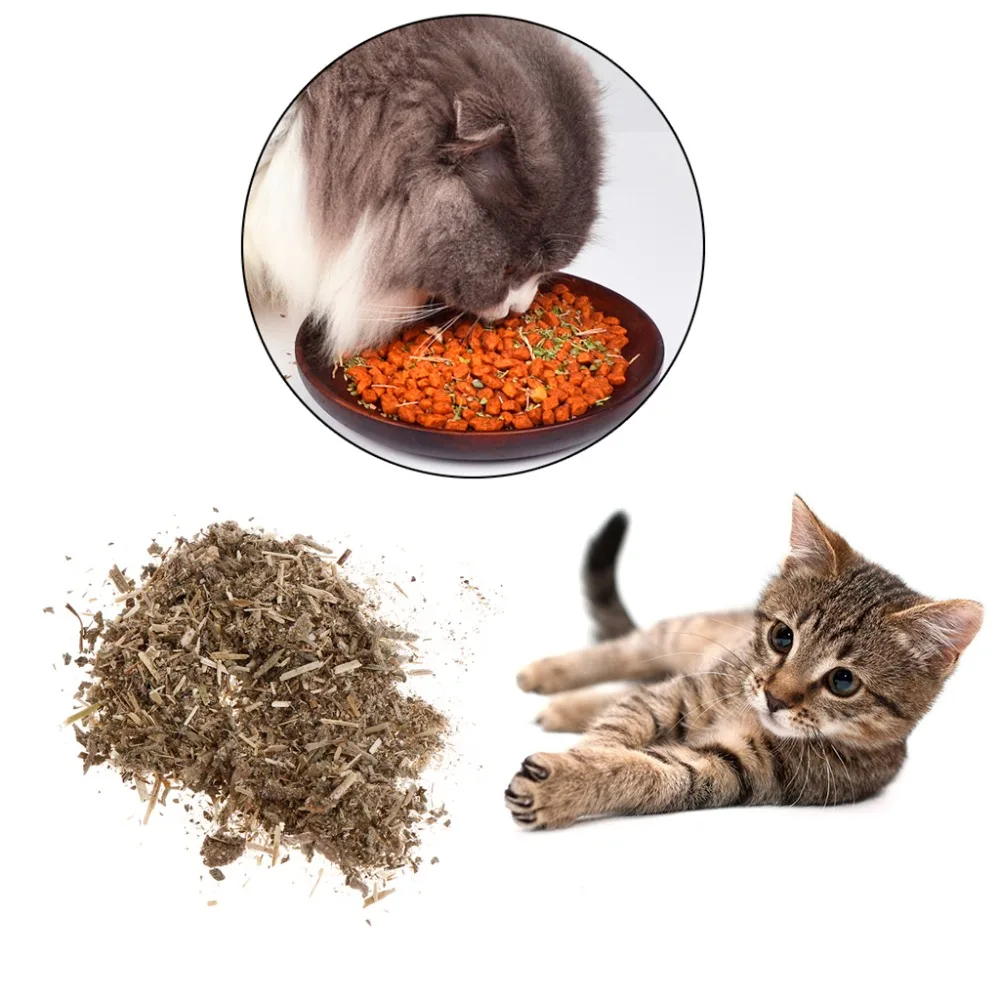 

Cat Catnip Powder Mint Natural Kitten Health Care Organic Pet Flavor Accessories