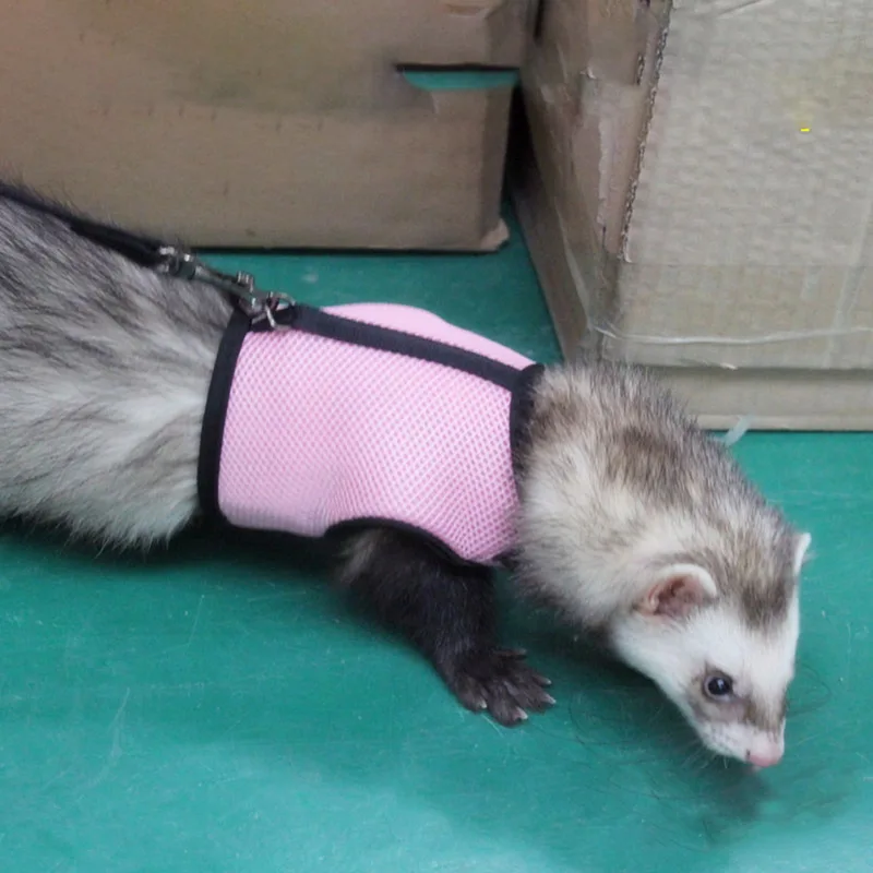 Кролик Хомяк жилет с поводком кролик сетка нагрудный ремень es ошейники Ferret