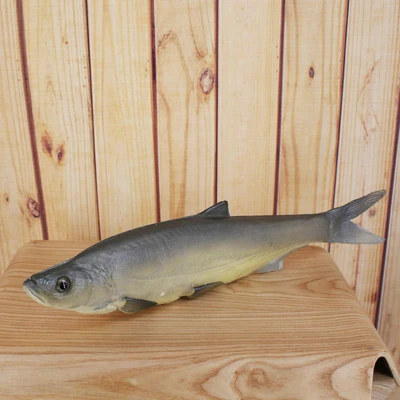 length 41cm Маленький желтый косточек, новая рыба, имитация рыбы, раннее образование, имитация рыбы, модель для украшения кухни, реквизит - Цвет: length 41cm