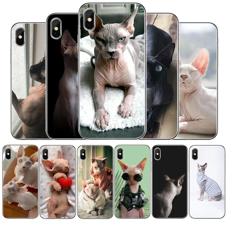 Силиконовый чехол для телефона Sphynx Sphinx Cat iphone 11 Pro MAX 5 6 7 8 9 10 X XS XR XSMAX Plus SE 2020 |