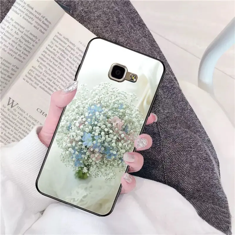 Beautiful flower Gypsophila