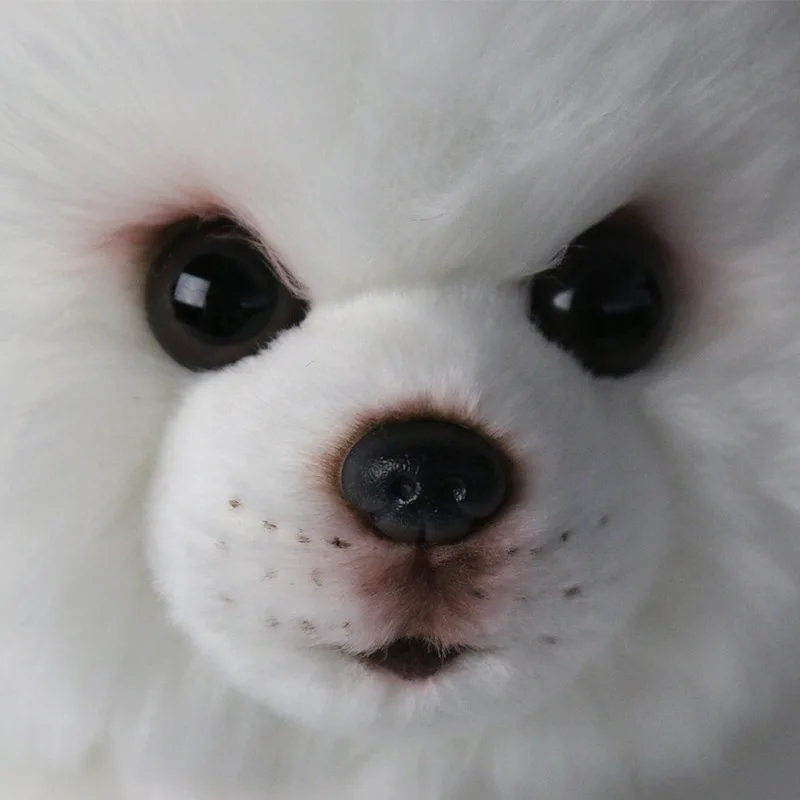 Baby Plush Toy Simulation Pomeranian Samoyed Pure White Dog Stuffed Animal Toy Super Realistic Dog Toy Home Decor Pet Child Gift Stuffed Plush Animals Aliexpress