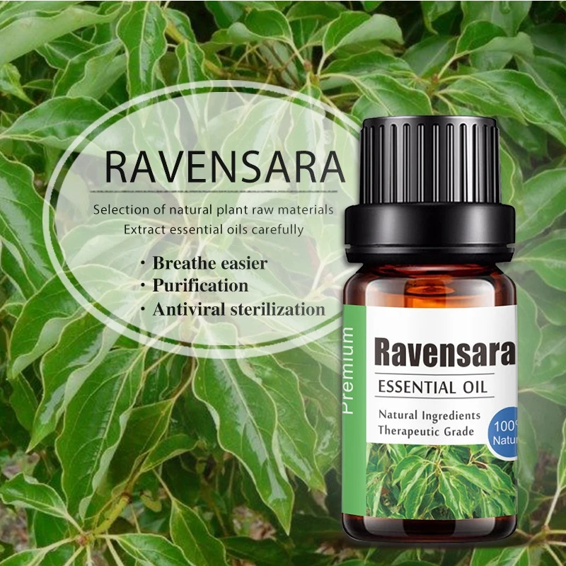 

Pure Natural Ravensara Aromatherapy Essential Oils Anti-stress Aroma Diffuser Oil High Effective