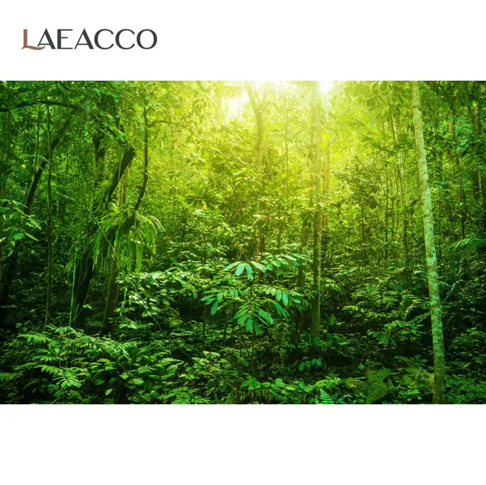 Laeacco Tropical Jungle Rain Forest Palms Tree Green Natural Scenic Photo Backdrop Photography Background For Photo Studio