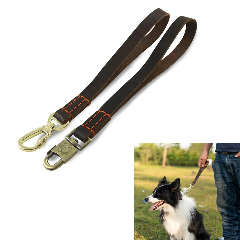short leather dog lead