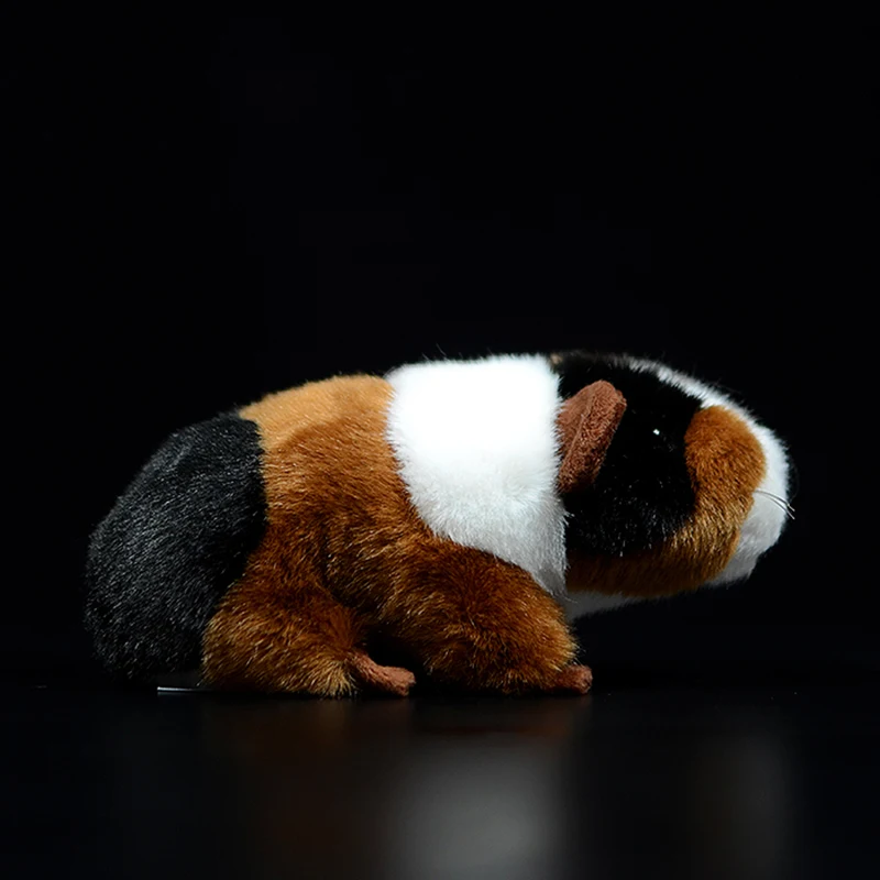 Realistic Short Haired Guinea Pig Soft Doll Simulation Artificial Cuddly Toy 