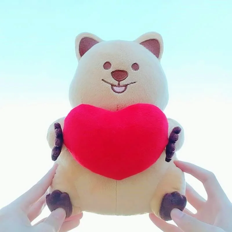 O1CN01KVsfnJ21Z8Hmlr4Zh_!!2443076998