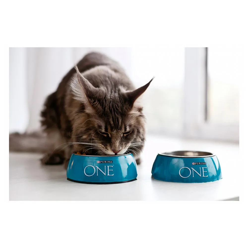 Сухой корм Purina ONE для кошек с чувствительным пищеварением с индейкой и рисом, Пакет, 1, 5 кг