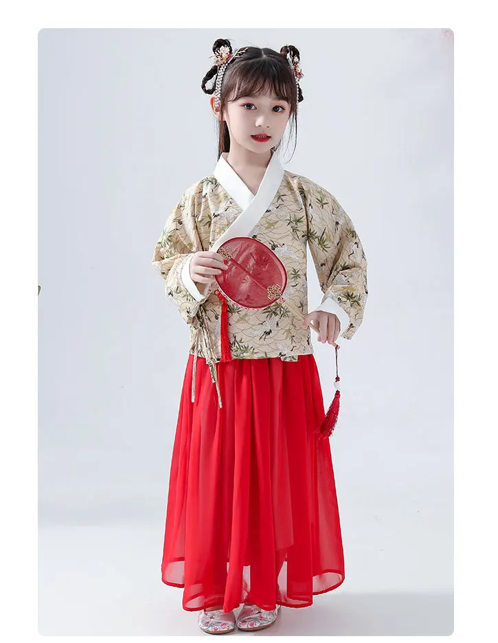 Hanfu/платье для девочек с рисунком журавля г. Осенне-зимняя новая улучшенная юбка для кроссдресса костюм для девочек феи, милый костюм в китайском стиле
