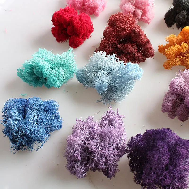 10 г сухого консервированные мох декоративные мха искусственные растения с