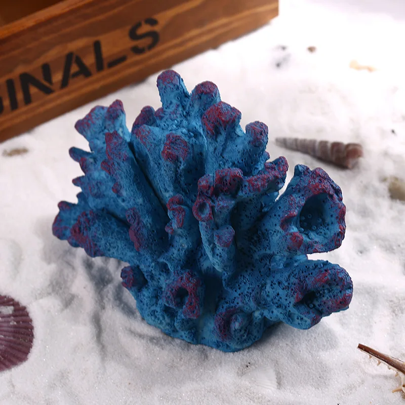 3698009077_798700099_8146945395069222347