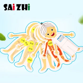 

Saizhi Kids Diy Human Body Structure Cognition Toys Intellectual Educational Toys Children'S Early Education Toys