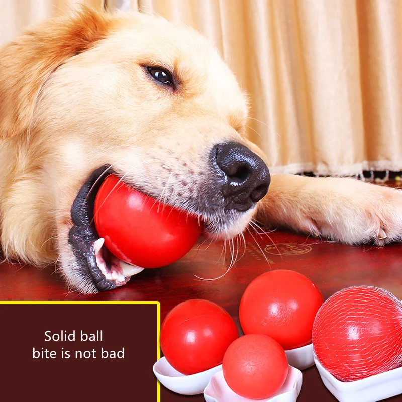 Are Rubber Toys Bad For Dogs