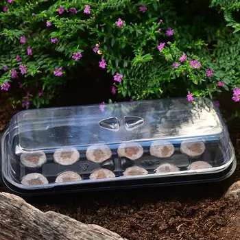 

4 Sets Plant Seeds Germination Box Portable Nursery Pots Household Planter Growing Pot Two In One Seeding Plastic Sowing Tray