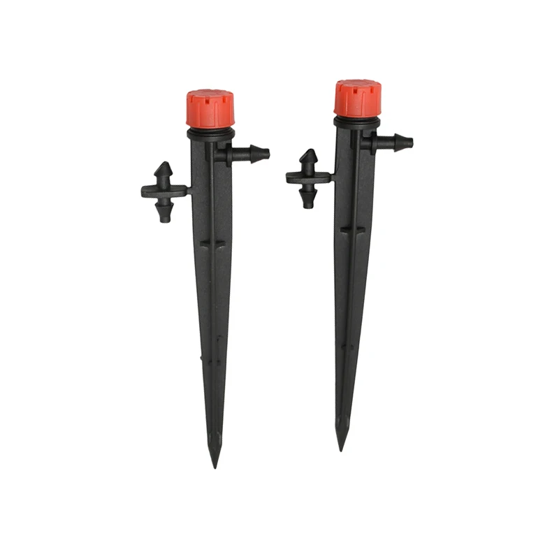 DSC_8195 - 副本 (2)