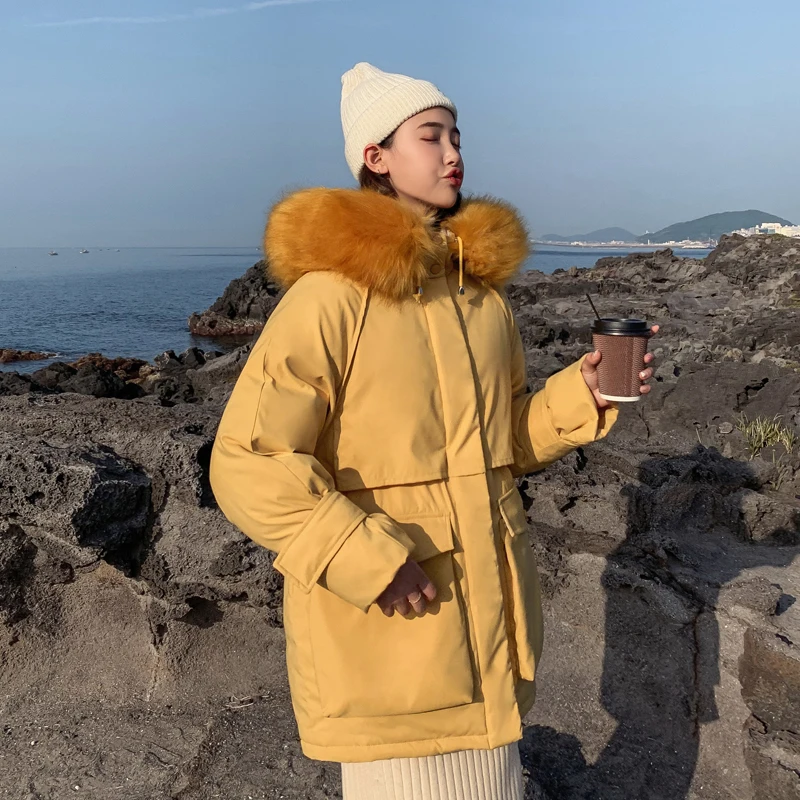 Korean Style 2019 Winter Jacket Women Warm Thicken Loose Female Coat W_B5_16