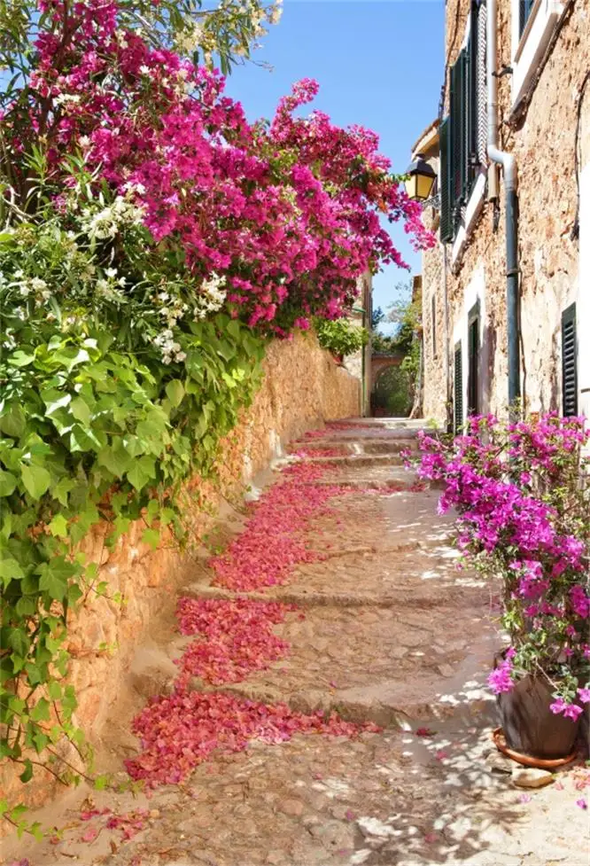 Laeacco Старый город горшках с цветочной Alley коридор дом живописные фото Фоны фотографии фонов для фотостудии - Цвет: NBK23164