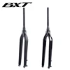 BXT NEW  super light 29er Carbon MTB Fork  9mm Tapered bicycle fork  29 mountain bike disc brake carbon fork  bicycle parts ► Photo 1/6