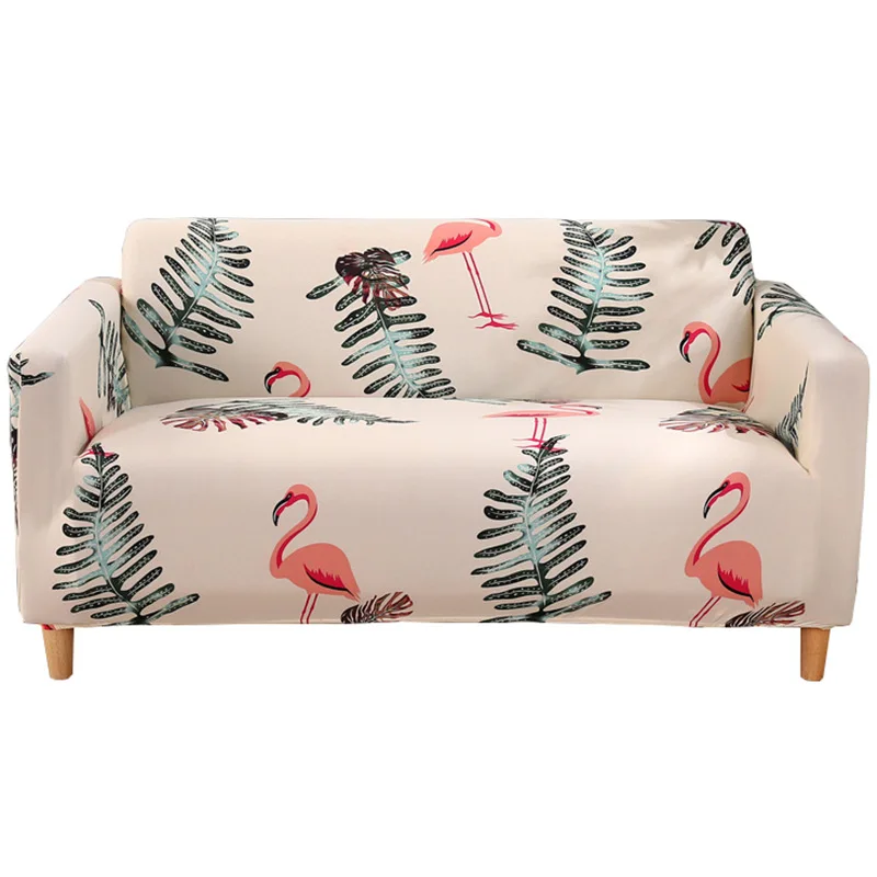 11323916434_920131939