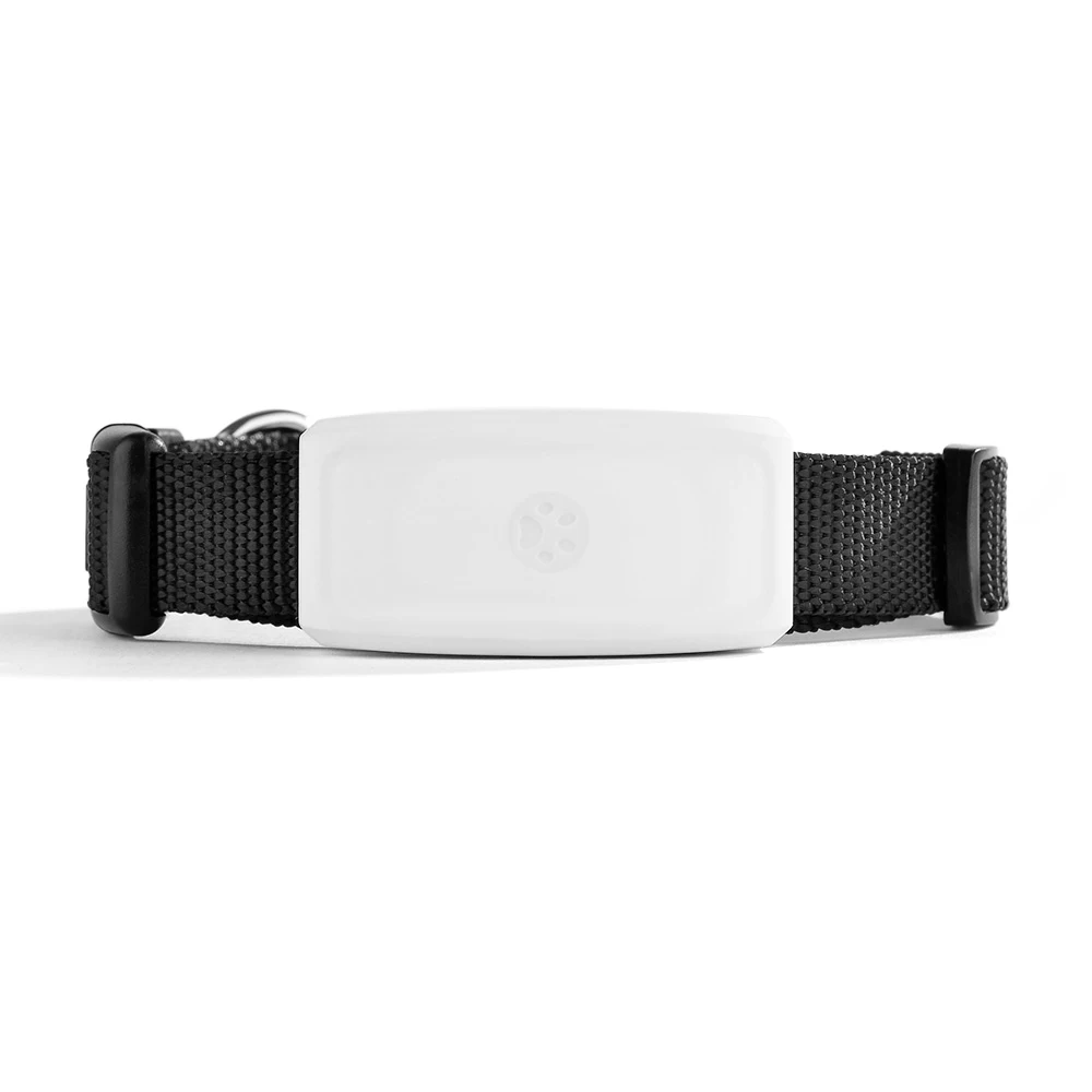 TK911 мини детский gps трекер для питомцев TKSTAR TK 911 для собак кошек детский gps+ GSM+ wifi Locatoin, без подарочной коробки, отслеживающая собака