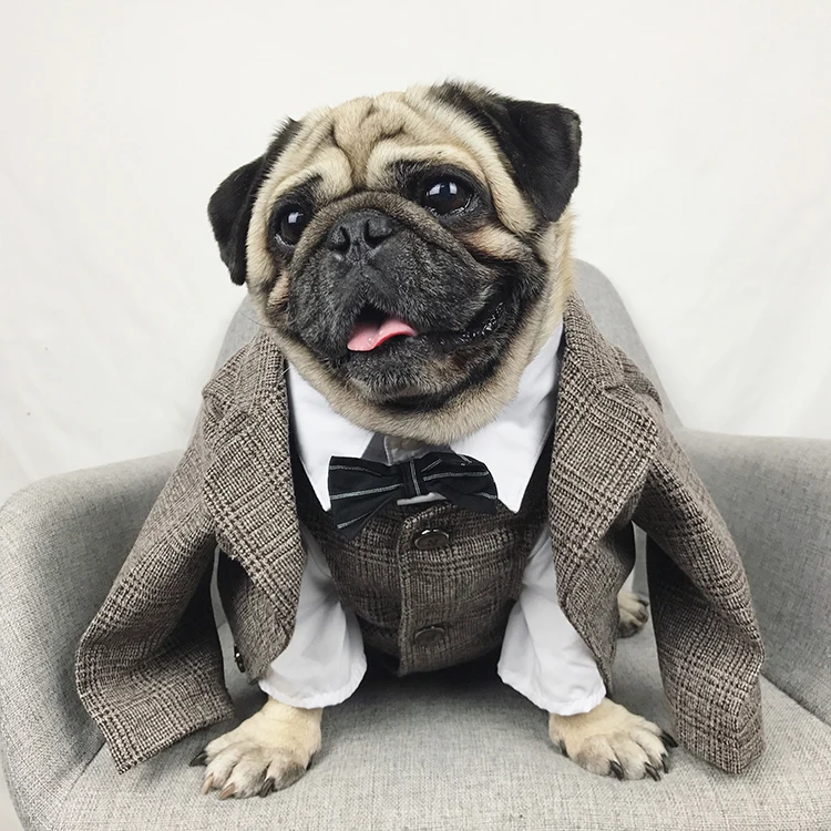 Bonito cão smoking casaco, buldogue francês pet trajes, roupas do gato, novo