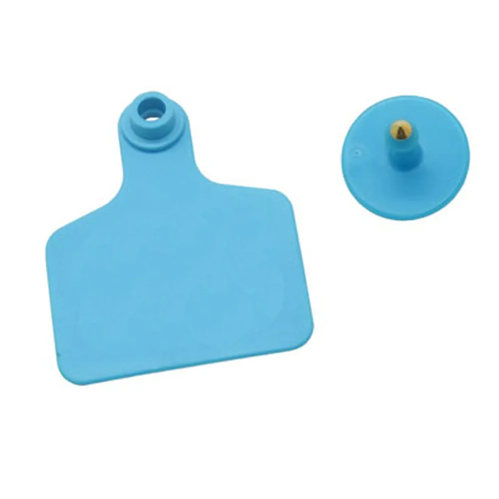 DSC_5414 - 副本 (2)