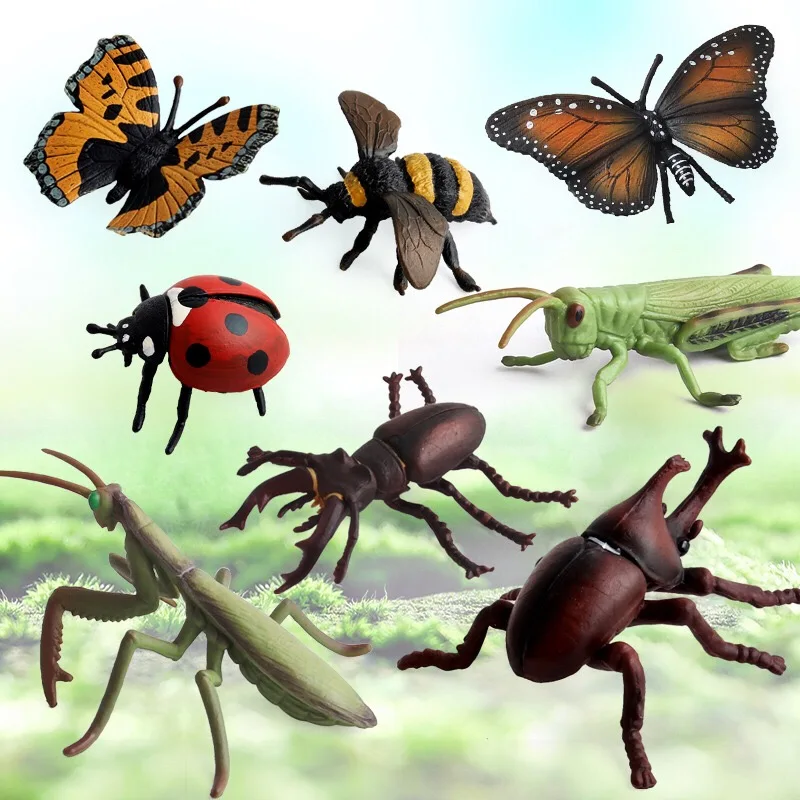 8 Types Realistic Insects Figures Lifelike Animal Figurines Toys Children'S Early Educational Learning Insect Cognitive Toy Gift 6 8 Types Realistic Insects Figures Lifelike Animal Figurines Toys Children'S Early Educational Learning Insect Cognitive Toy Gift 6