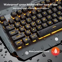 Computer Peripherals