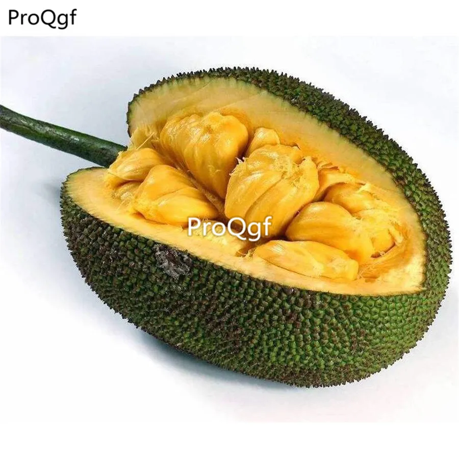 Ngryise 20 шт набор артокарпус Heterophyllus jackfruit