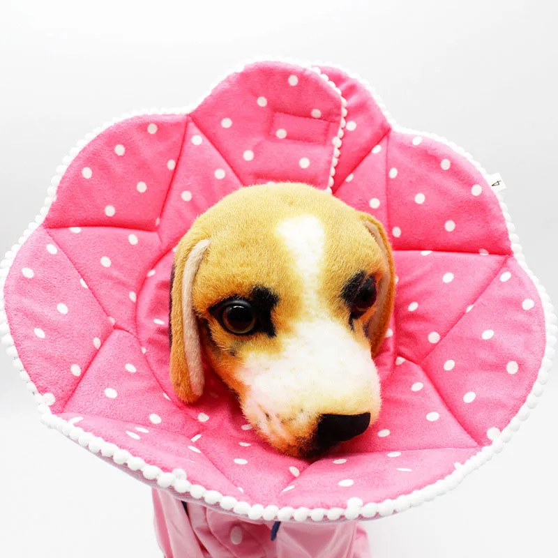 Clearance Sale Durable Elizabeth Circle Pet Dog Collar Supplies after