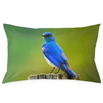 

Bluebird Fashionable pillowcase and rectangular decorative pillowcase 20 "x30"