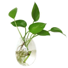 Прозрачная настенная ваза в форме яйца для украшения дома