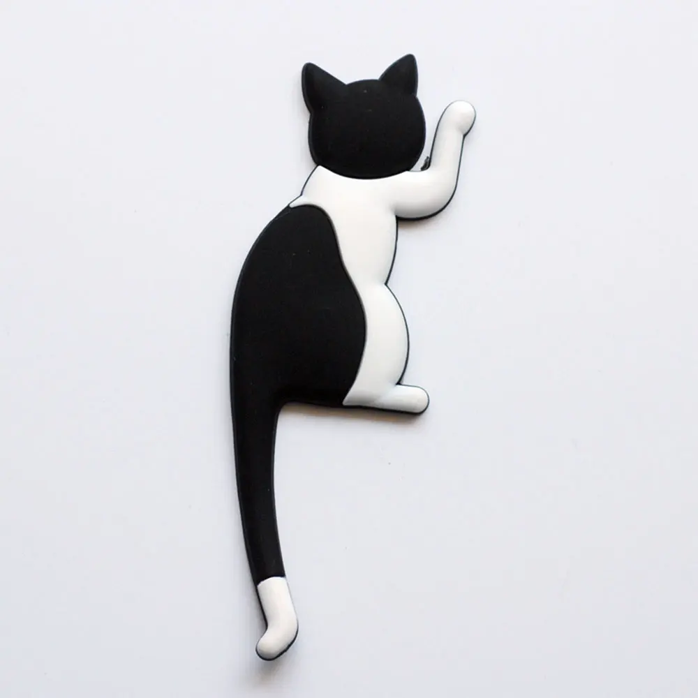 Black and white cat