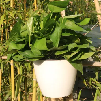 

Creative Floor-standing Round Resin Flowerpot Hangable Breathable Plant Basket Home Gardening Garden Balcony Garden Decoration