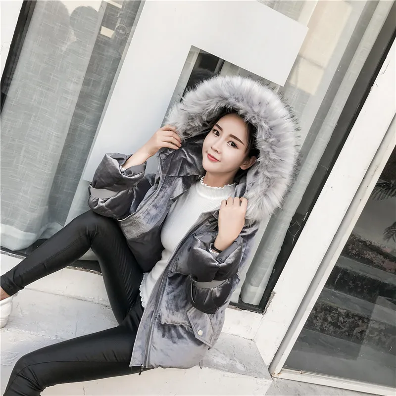 Photo Shoot Winter New Style Korean-style Short Hooded Large Fur Collar down Feather Cotton-padded Clothes WOMEN'S Dress Thick d