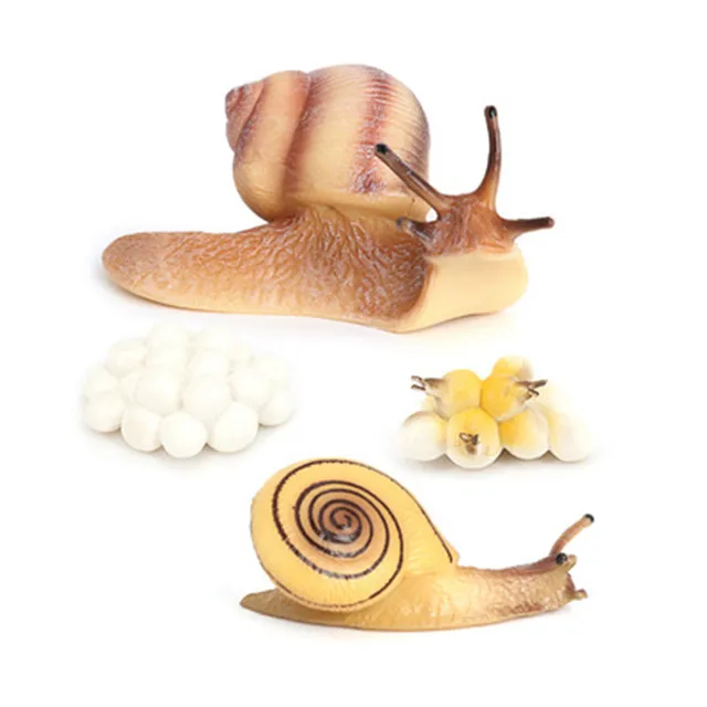 Hot DIY Growth Cycle Reptiles Snails PVC Actions Models Toy Figures Statics Model Educational toys  for Children Ornaments Gifts 5