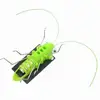 Creative Fun Solar Power Robot Insect Locust Grasshopper Kids Educational Toys for Children Gifts 2