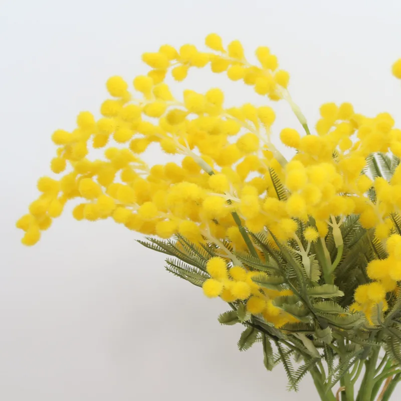 11009096402_200835291