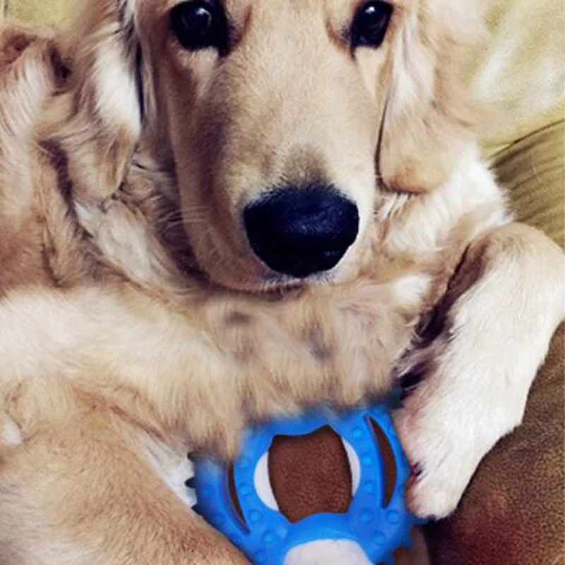 Dog Biting Ring Toy Dog Soft Rubber Molar Toy Pet Bite Cleaning Tooth Toy Increase The Intelligence Of Pets Tool