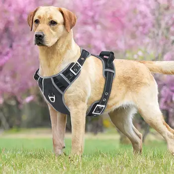 

Big Dogs Harness Jacket Collar for Large Dog Leads Adjustable Pet Vest Walking Lead Leash Harnesses for Dog Supplies