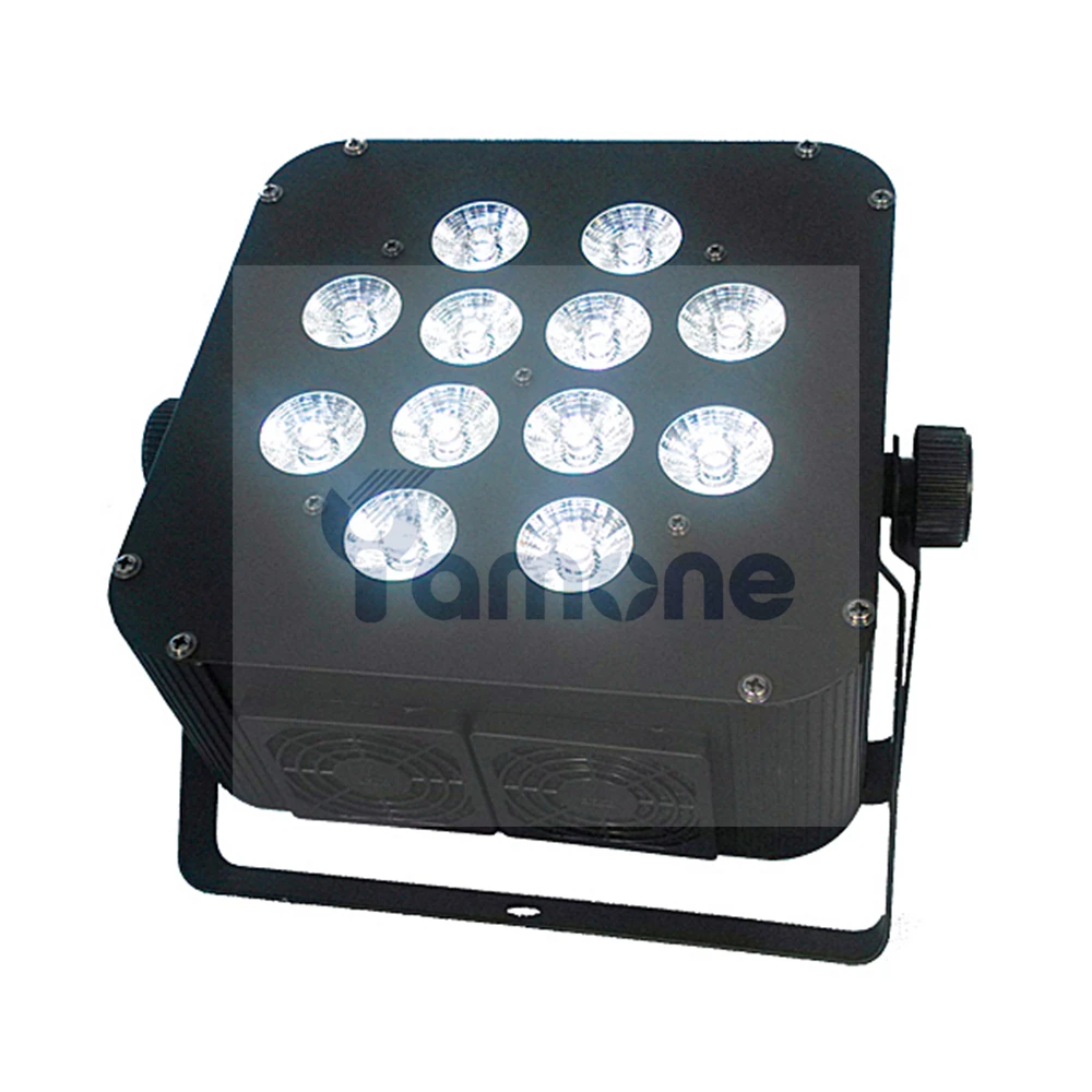 12pcs Flat PAR 08