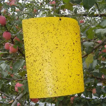 

20pcs Summer Outdoor Strong Fly Trap Board Sticky Double-side Bugs Insects Pest Mosquitoes Killer Stickers Yellow Hang Catcher